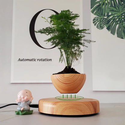 Levitating Bonsai Pot