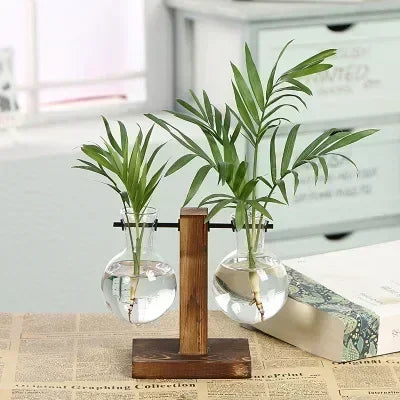 Hydroponic Flower Pot