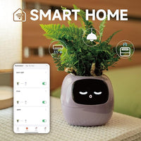 The smart plant pot