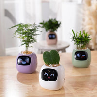 The smart plant pot